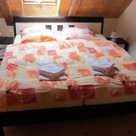 Guest house U Staryho Dubu 3*