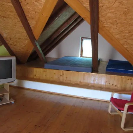 Guest house U Staryho Dubu 3*