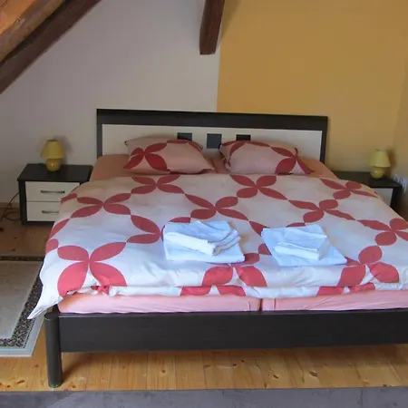 U Staryho Dubu Guest house