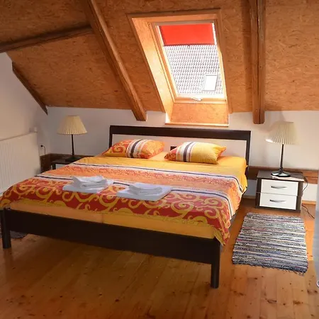 Guest house U Staryho Dubu 3*
