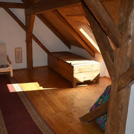 Guest house U Staryho Dubu