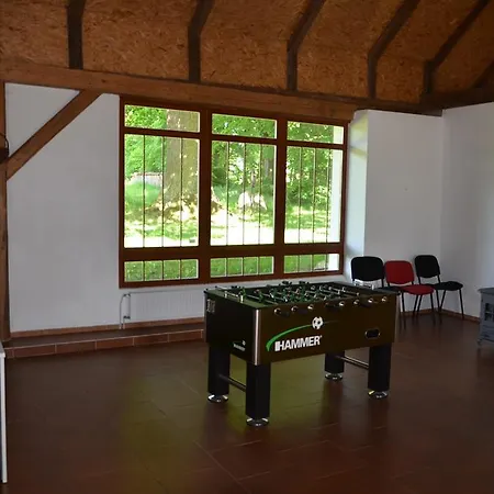 Guest house U Staryho Dubu 3*